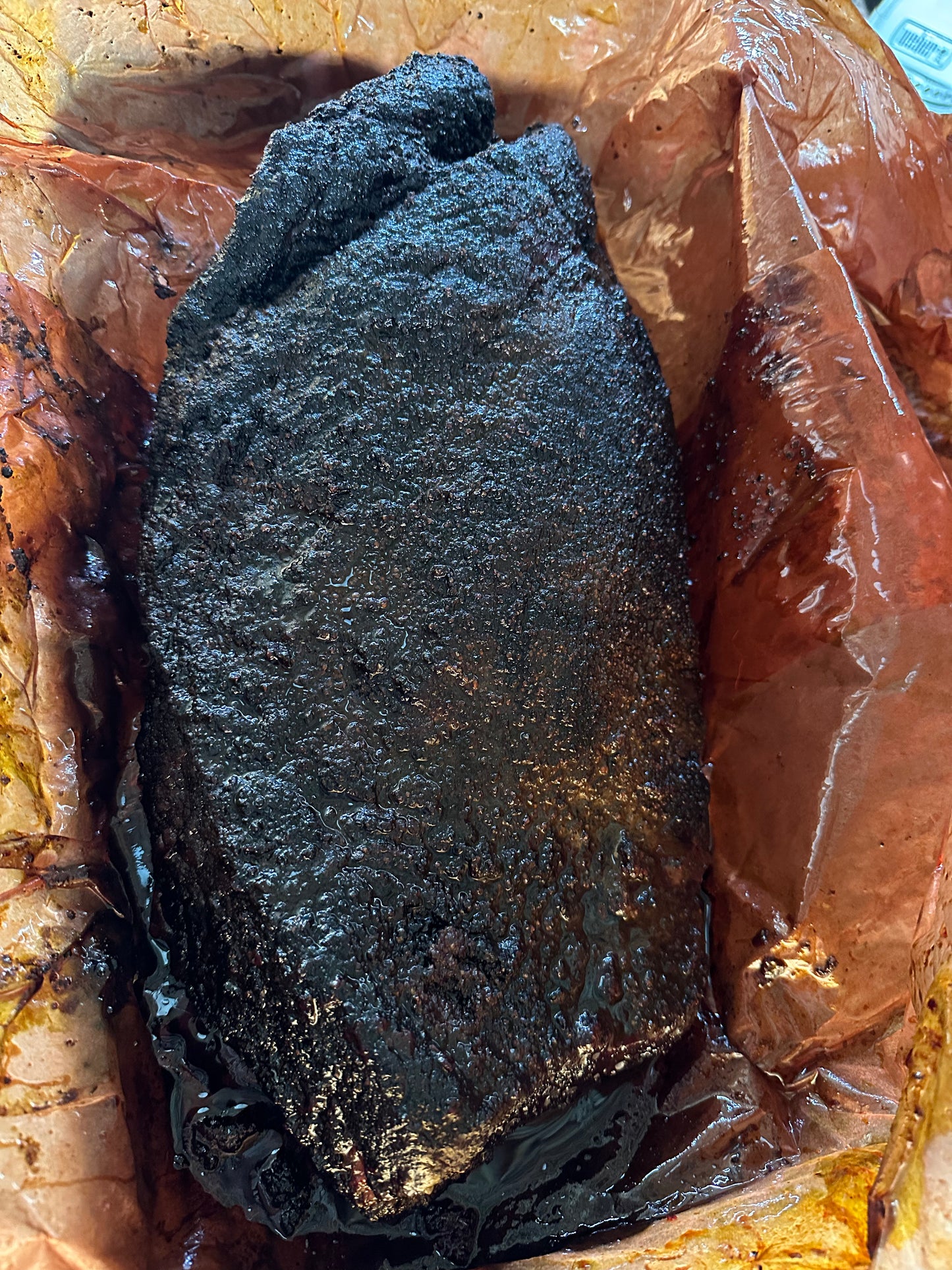 The Overnight Bark